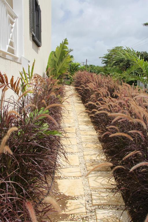 Lantana Resort Barbados By Island Villas セントジェームス エクステリア 写真